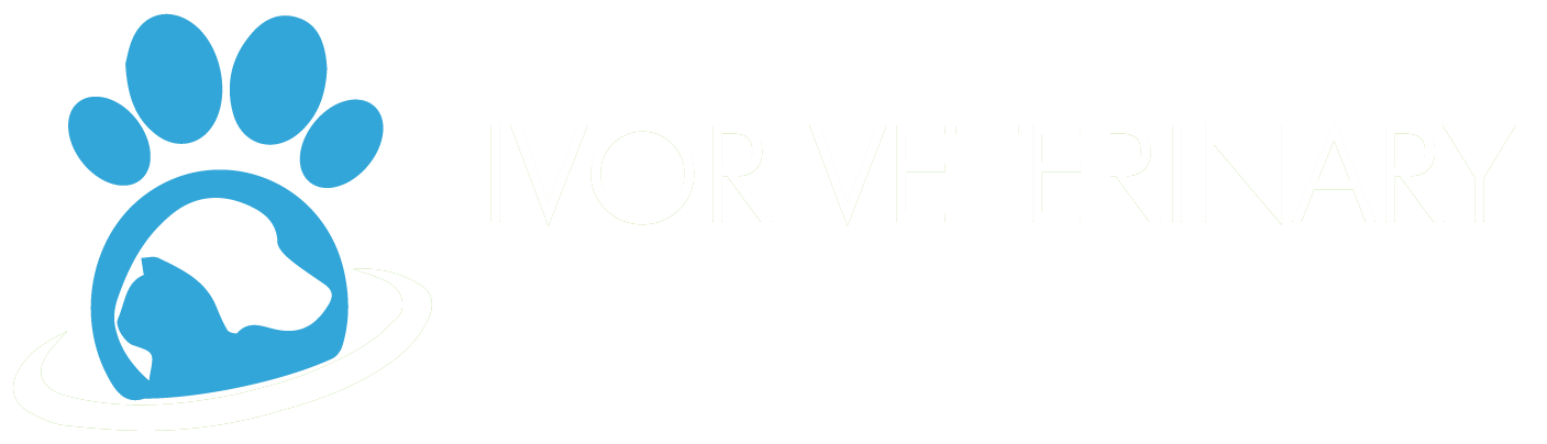 Ivor Veterinary Clinic Logo - Button to Home