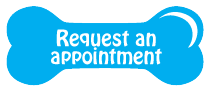 Appointment