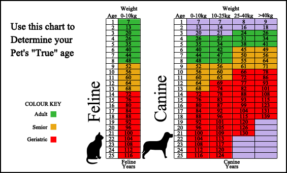 Age Chart - Feline and Canine Age Chart - Feline and Canine