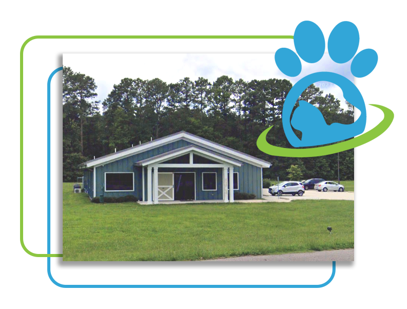 Our Veterinary Practice Graphic