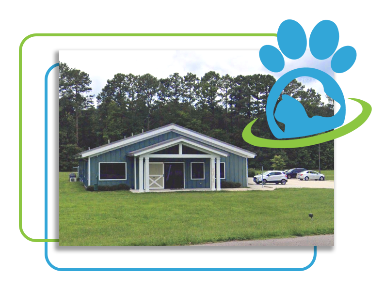 Our Veterinary Practice Graphic Our Veterinary Practice Graphic