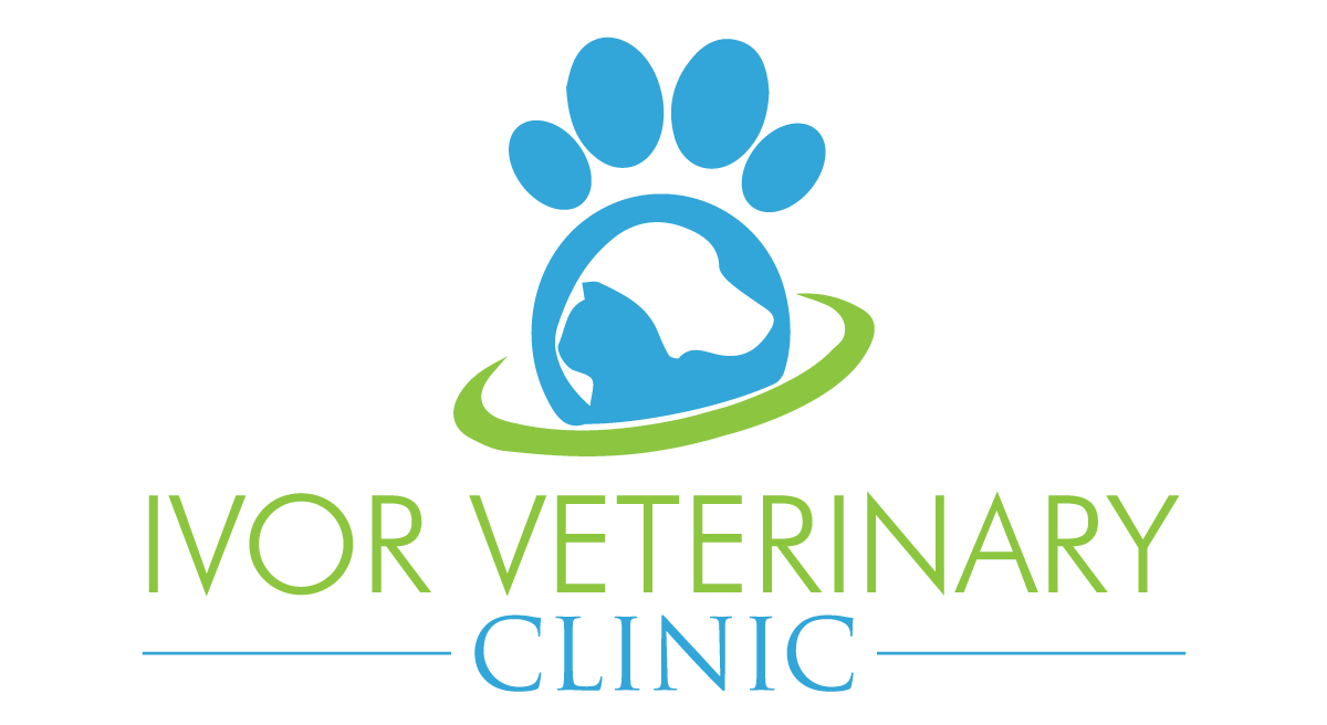 Ivor Veterinary Clinic - Button to Home
